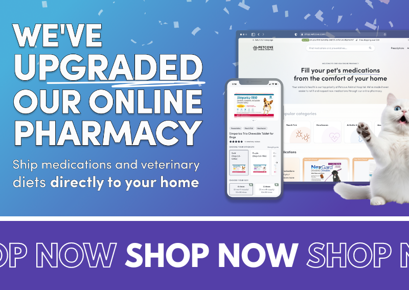 Carousel Slide 2: Shop our new and improved online pet pharmacy