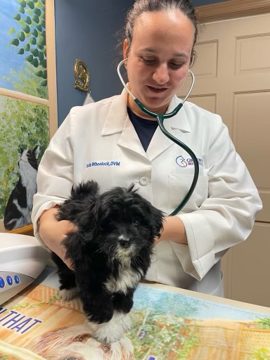 Education and training programs