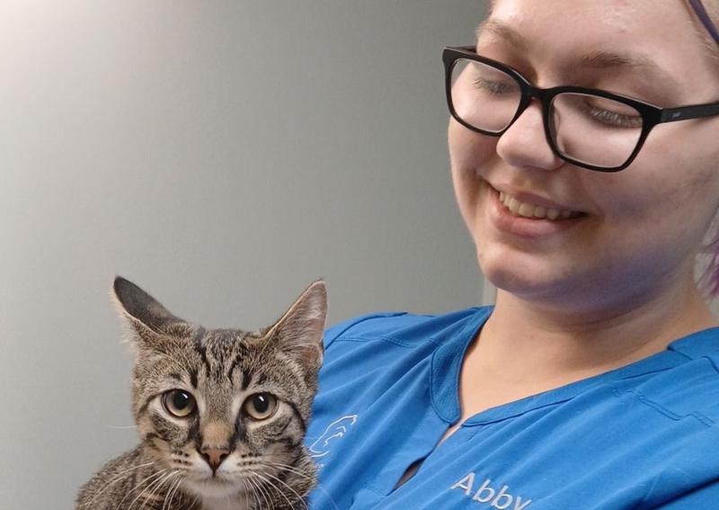 Comprehensive health and wellness benefits